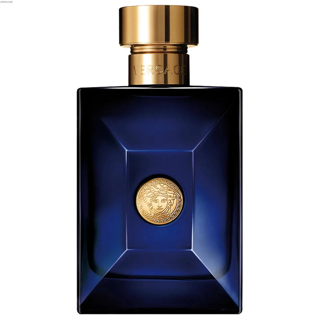 Versace Dylan Blue Pour Homme 100 ml edt (m)